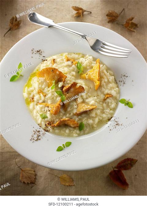 Risotto with chanterelle mushrooms sautéed in butter and herbs