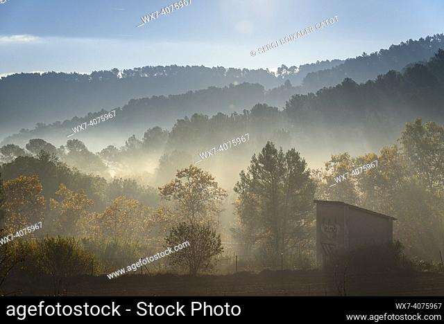 Morning mists in the Collserola mountain range, seen from the Can Coll country house (Vallès Occidental, Barcelona, Catalonia, Spain)