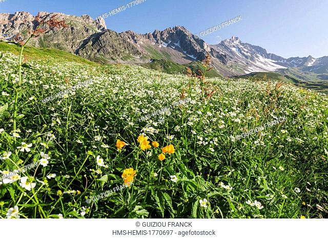 France, Savoie, Beaufortain massif, landscape around the Cormet de Roselend, mountain pass between Beaufortain massif and Mont Blanc massif