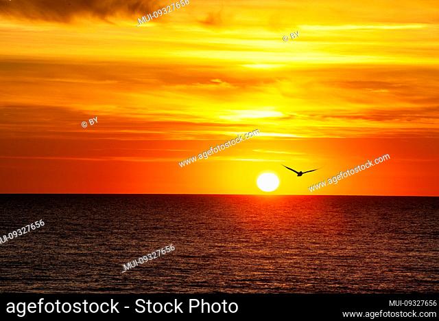 Beautiful sunset over the horizon of the ocean