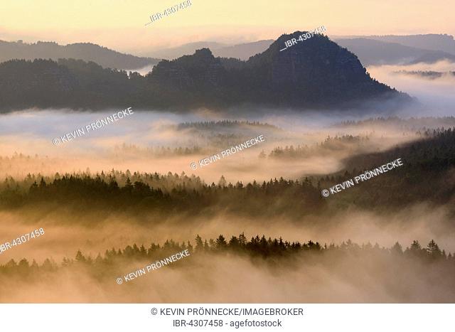 View from Kleiner Winterberg to Lorenzsteine, Elbe Sandstone Mountains, Saxon Switzerland, Saxony, Germany