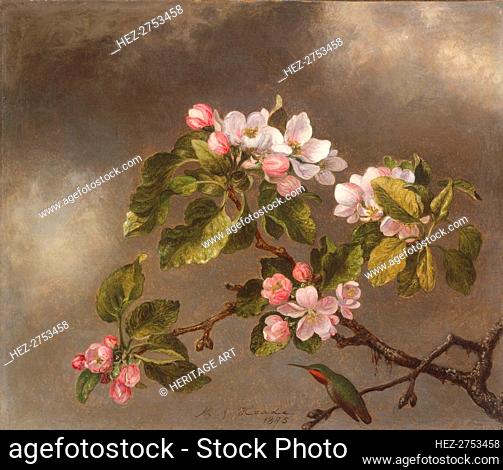 Hummingbird and Apple Blossoms, 1875. Creator: Martin Johnson Heade