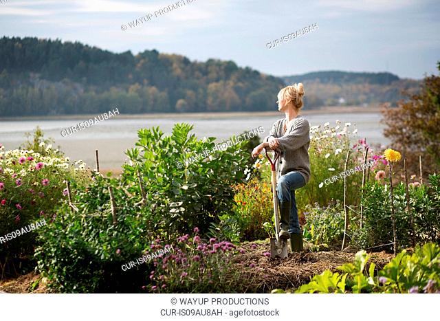 Woman looking out from organic garden, Orust, Sweden