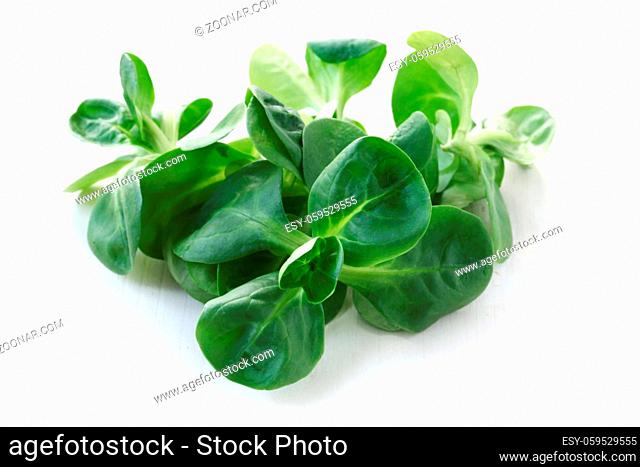 Corn Salad Leaves Isolated On White