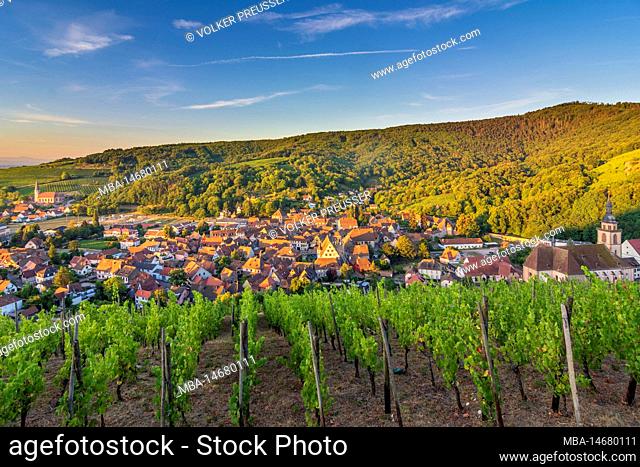 Andlau, village Andlau, vineyards, Vosges Mountains in Alsace (Elsass), Bas-Rhin (Unterelsass), France