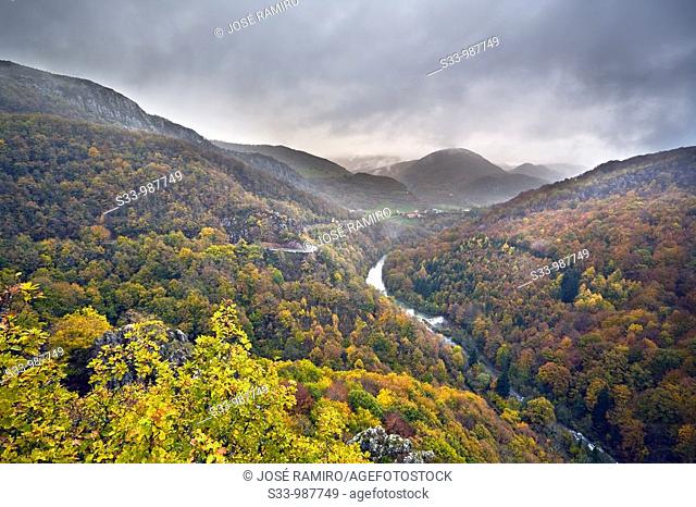 Valle de Aezkoa y rio Irati  Navarra  España