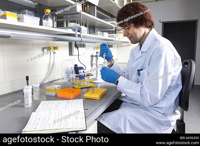 Doctoral student of the Faculty of Biology at the University of Duisburg-Essen during his research work pipetting, Essen, North Rhine-Westphalia, Germany