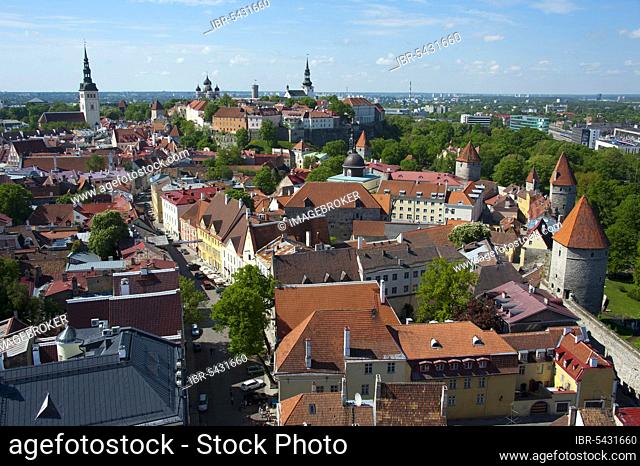 Lower Town and Upper Town, Old Town, Tallinn, Estonia, Baltic States, Europe, View from Olai Church, Europe