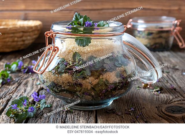 Preparation of homemade ground-ivy syrup against cough
