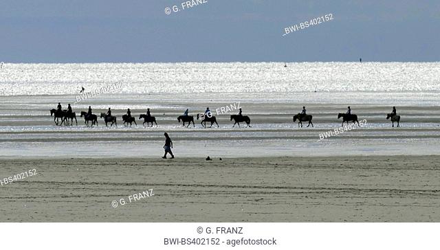 equestrian group on the beach in backlight, Germany, Schleswig-Holstein, Northern Frisia, Sankt Peter-Ording