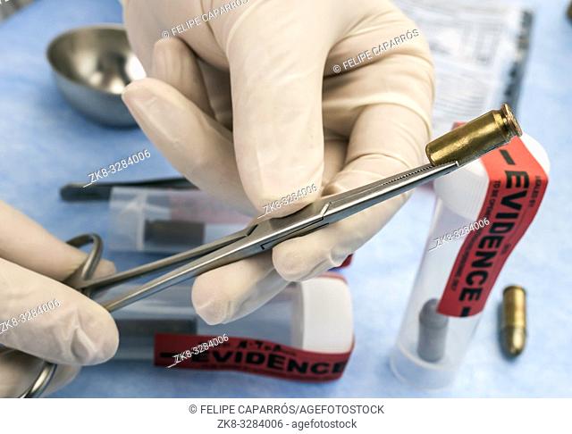Criminalistic Laboratory, Scientific police officer holds bullet tips with tweezers for ballistic analysis, conceptual image