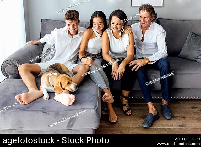 Smiling parents and children looking at dog on sofa in living room at home