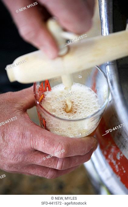 Drawing a glass of beer from a barrel