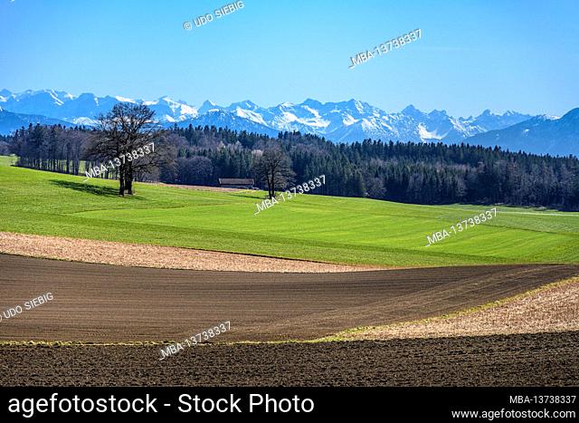 Germany, Bavaria, Upper Bavaria, Tölzer Land, Münsing, district Attenkam, cultural landscape against Alpine chain