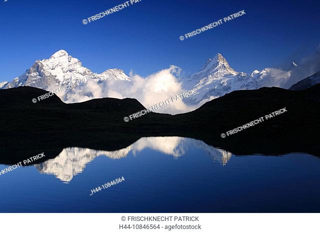 Swiss Alps, reflection, Bachalpsee, lake, water, Wetterhorn, Schreckhorn, Finsteraarhorn, mountains, mountain, alpine