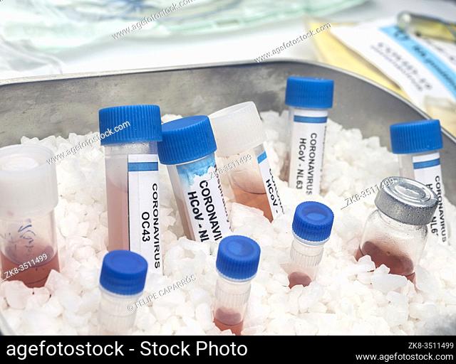 Vials with samples of SARS-COV-2 Covid-19 prepared cold in a hospital, conceptual image
