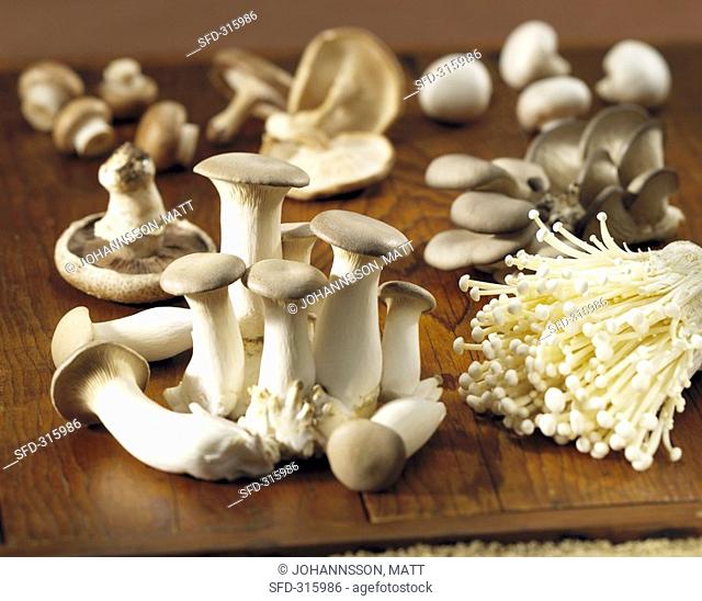 Assorted mushrooms