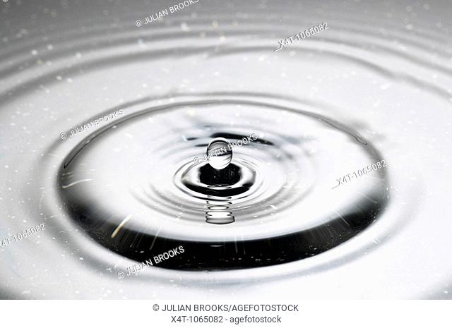 A droplet of water falling into a puddle and creating ripples