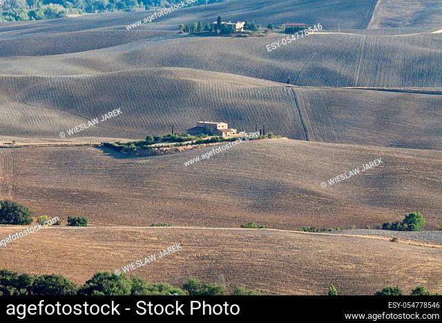 The landscape of the Tuscany. Italy