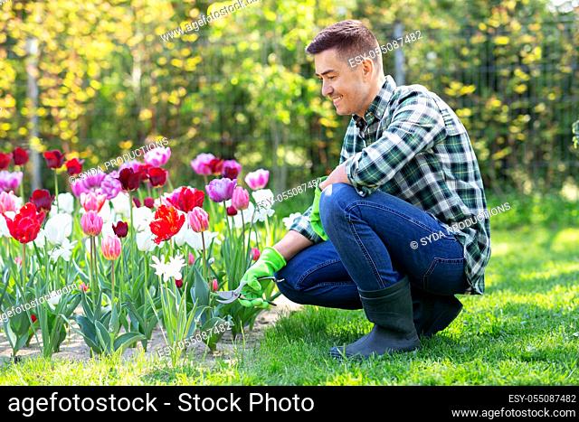 man with pruner taking care of flowers at garden