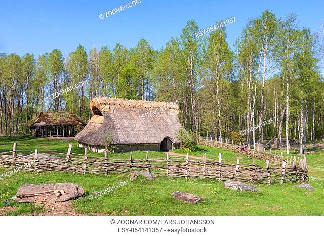 Bronze age Longhouse in a spring landscape