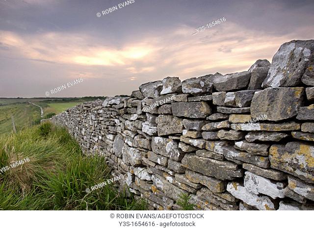 Dry Stone Dorset Wall
