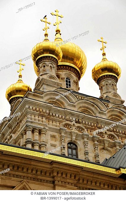 Gilded domes of the Russian Orthodox Church of Mary Magdalene on the Mount of Olives, Jerusalem, Israel, Middle East, Orient