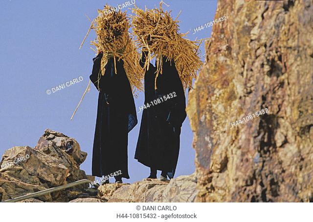 Shahara, 2.600m, women, Work, Northern Highlands, Yemen, Arabia, Orient, two, veiled, Islam, veil, agriculture, farmer