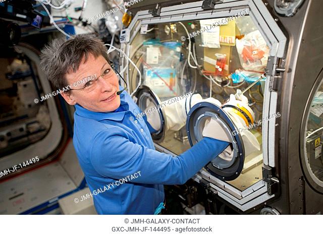 Commander Peggy Whitson is working on the OsteoOmics bone cell study that utilizes the Microgravity Science Glovebox inside the U.S