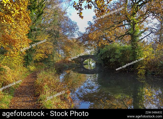 Autumn scene on The Basingstoke Canal in North Hampshire England