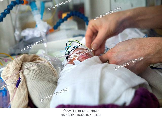 Reportage in a mobile functional exploration unit. A nurse intervenes in a neonatal service to carry out a check-up EEG on some premature babies