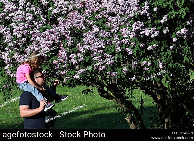 RUSSIA, MOSCOW - MAY 17, 2023: People are seen by a blooming lilac tree at the Kolomenskoye Museum-Reserve. Mikhail Tereshchenko/TASS