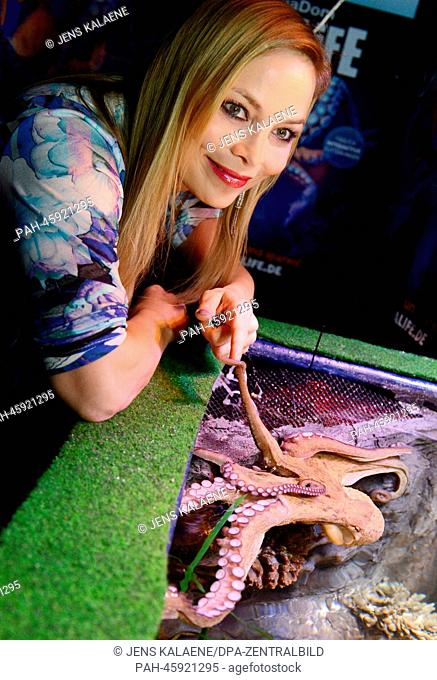 Former boxing world champion Regina Halmich observes a female octopus that she has named in the AquaDom and Sea Life in Berlin, Germany, 30 January 2014