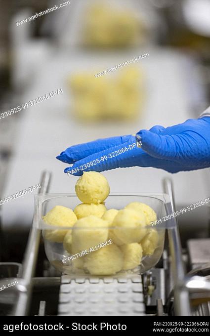 PRODUCTION - 20 September 2023, Saxony, Weidensdorf: Dumplings are packed in a Friweika eG plant in Weidensdorf. At present