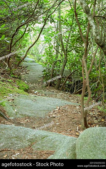 Granite terraces serving as steps on Long Pond Woods Trail in Hopkinton, Rhode Island