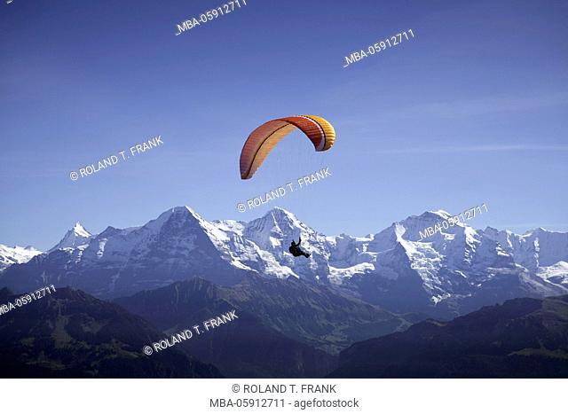Europe, Switzerland, paraglider at the Niederhorn, in the background Eiger, Mönch and Jungfrau