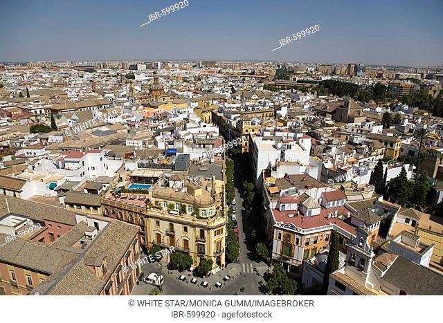 View of Seville's historic centre from the tower of Seville Cathedral, Seville, Andalusia, Spain, Europe
