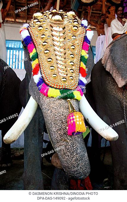 Utsavam elephant march festival ; Thrippunithura Cochin ; Kerala ; India