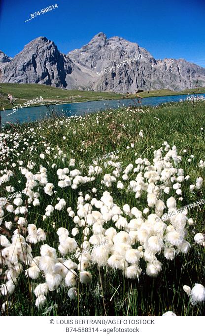 Lac des Cerces. Savoie, France
