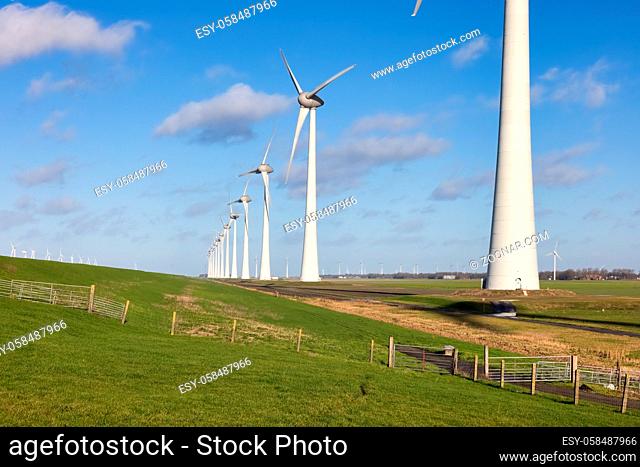 Wind turbines with blue sky in polder landscape of Dutch Noordoostpolder