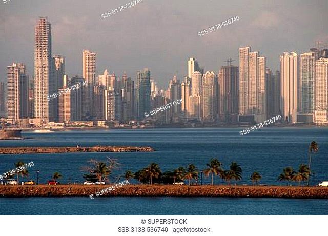 Palm trees with city in the background, Panama Canal, Panama