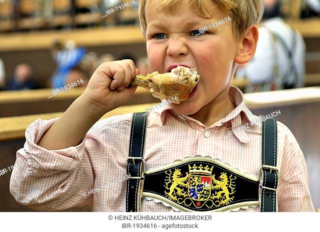 5-year old boy wearing leather pants sitting in a beer tent and eating chicken, Oktoberfest 2010, Munich, Upper Bavaria, Bavaria, Germany, Europe