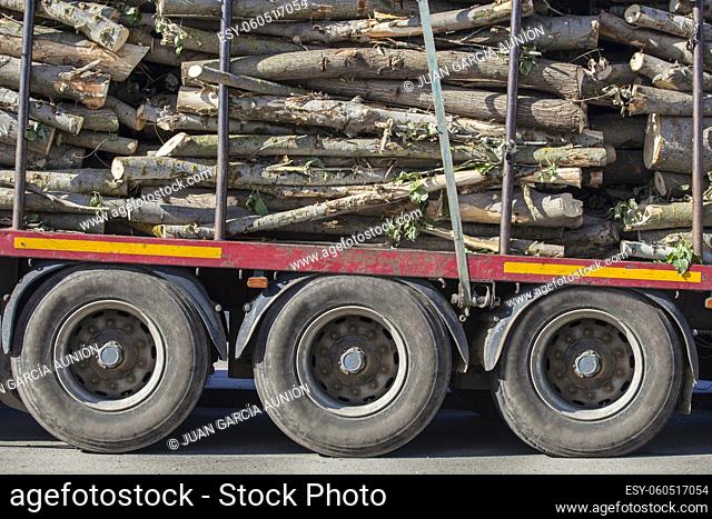 Truck trailer overloaded with riverside tree logs. Truck weight restrictions concept