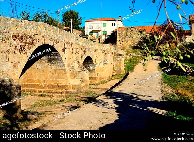Medieval bridge in Fariza de Sayago, Zamora, Spain