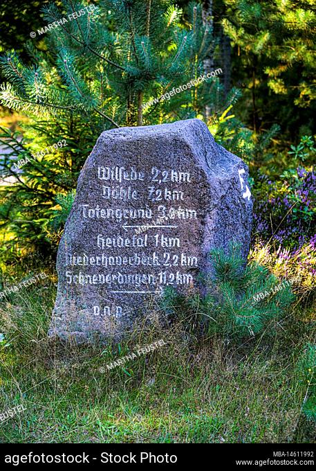 Stone with reference to Wilsede near Bispingen, Lüneburger Heide, Lower Saxony, Germany, Europe