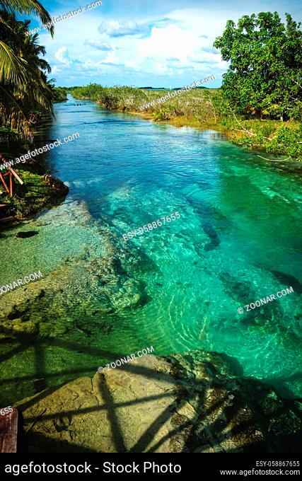 Sunny seven colored lagoon surrounded by tropical plants vertical in Bacalar, Quintana Roo, Mexico