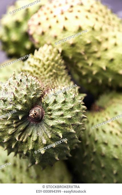 A shot of a bunch of soursop, an exotic tropical fruit