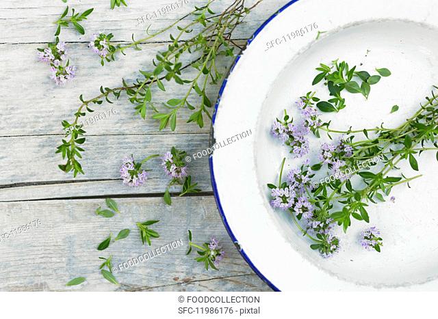 Thyme with flowers