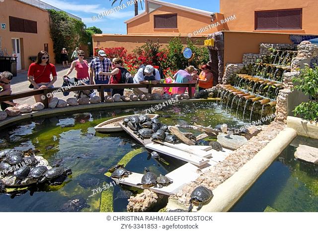 PALMA, MALLORCA, SPAIN - MAY 22, 2019: Visitors watching turtles in pond on Marineland on May 22, 2019 in Palma, Mallorca, Spain