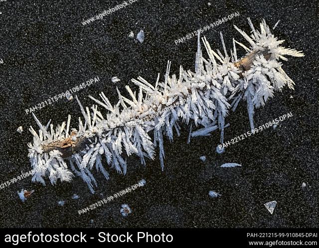 15 December 2022, Brandenburg, Groß Schauen: A small branch with bizarre ice crystals lies on the frozen Groß Schauener See. Photo: Patrick Pleul/dpa